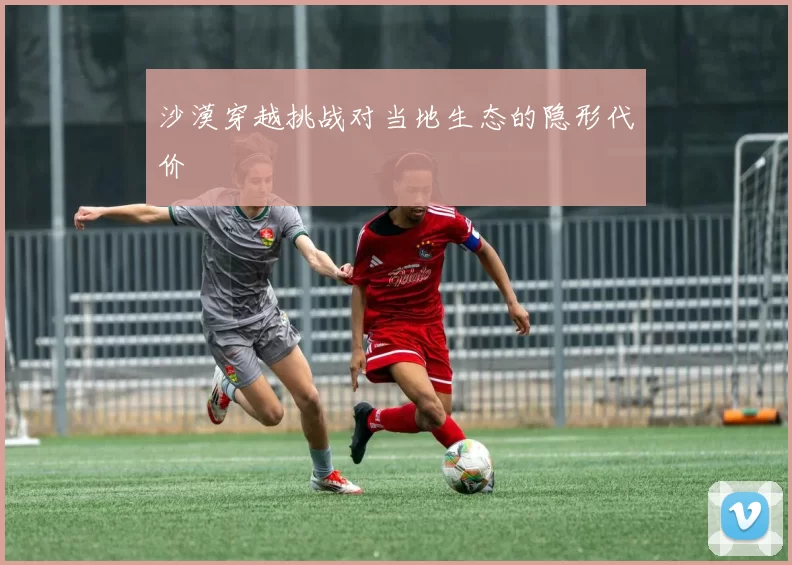 沙漠穿越挑战对当地生态的隐形代价