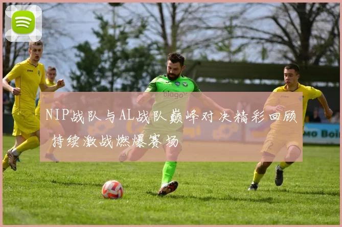 NIP战队与AL战队巅峰对决精彩回顾 持续激战燃爆赛场