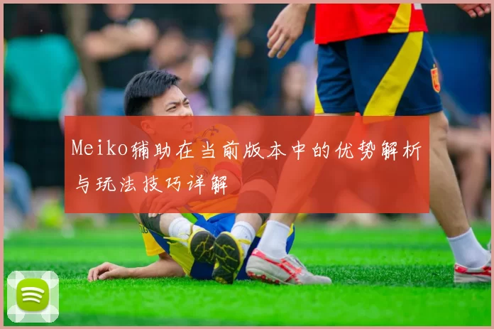 Meiko辅助在当前版本中的优势解析与玩法技巧详解