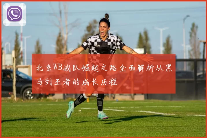 北京WB战队崛起之路全面解析从黑马到王者的成长历程
