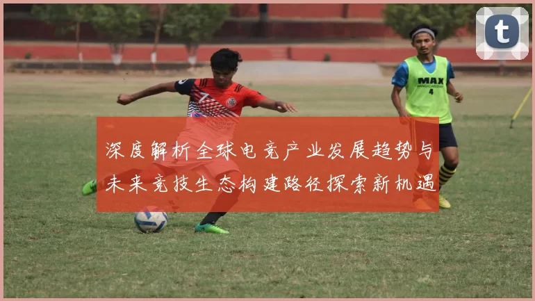 深度解析全球电竞产业发展趋势与未来竞技生态构建路径探索新机遇