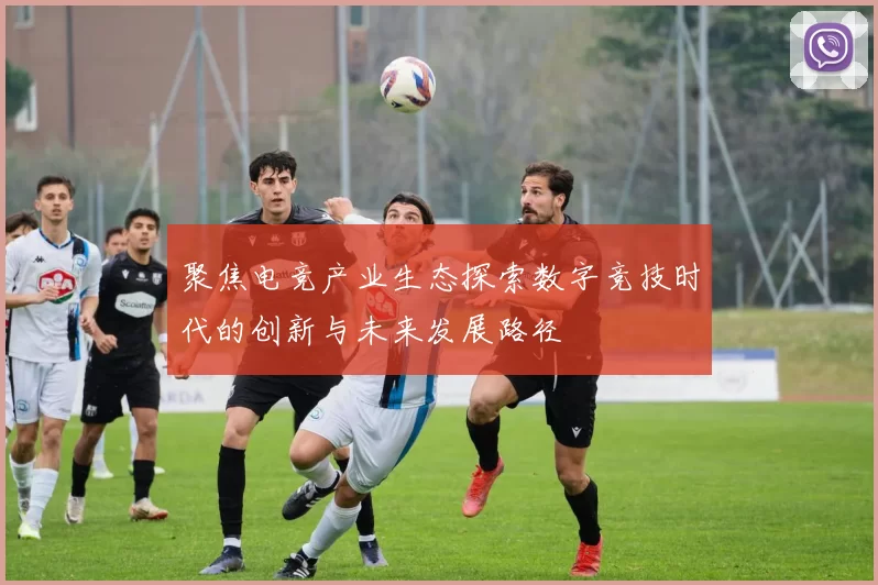 聚焦电竞产业生态探索数字竞技时代的创新与未来发展路径