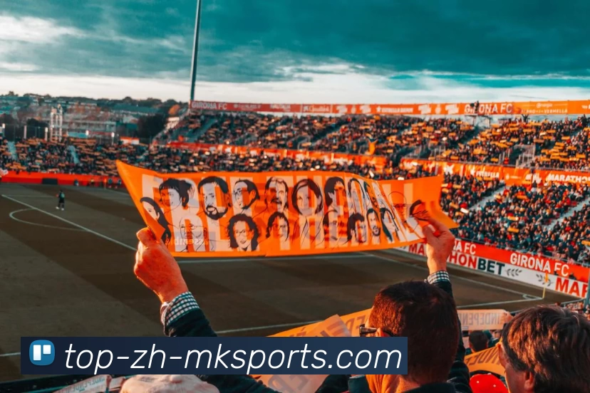 App Interface Preview